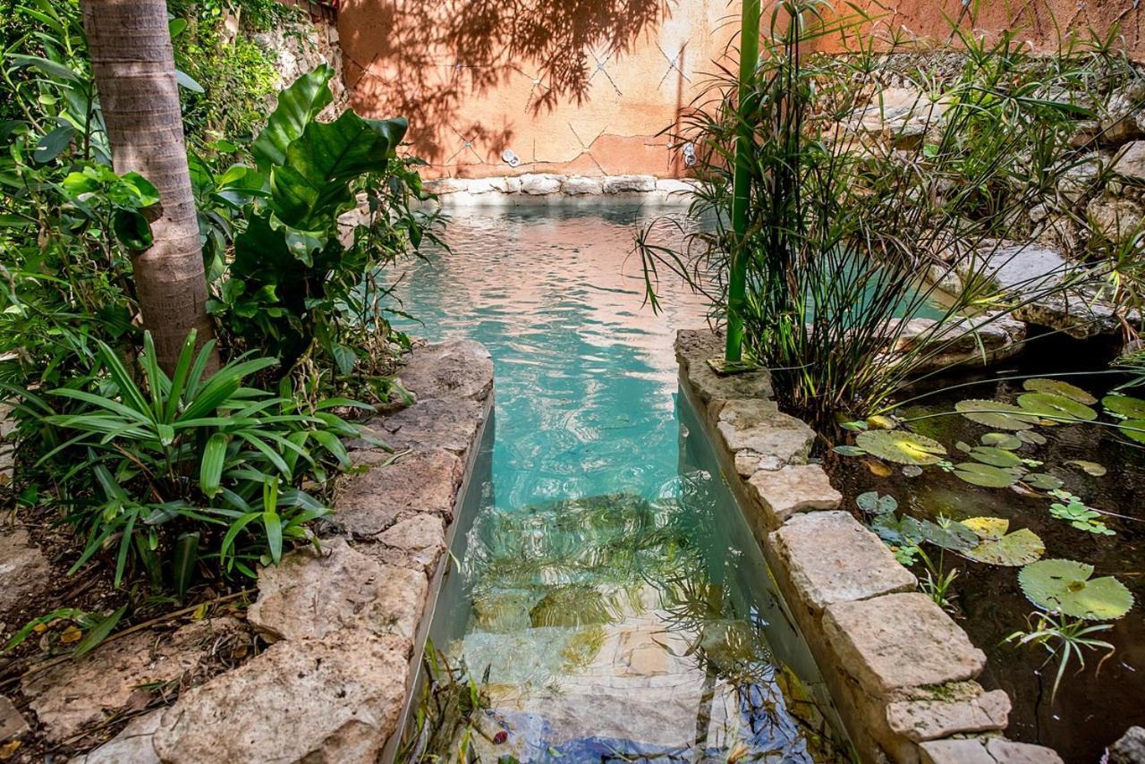 La Selva By Majikal B&B Merida Exterior photo