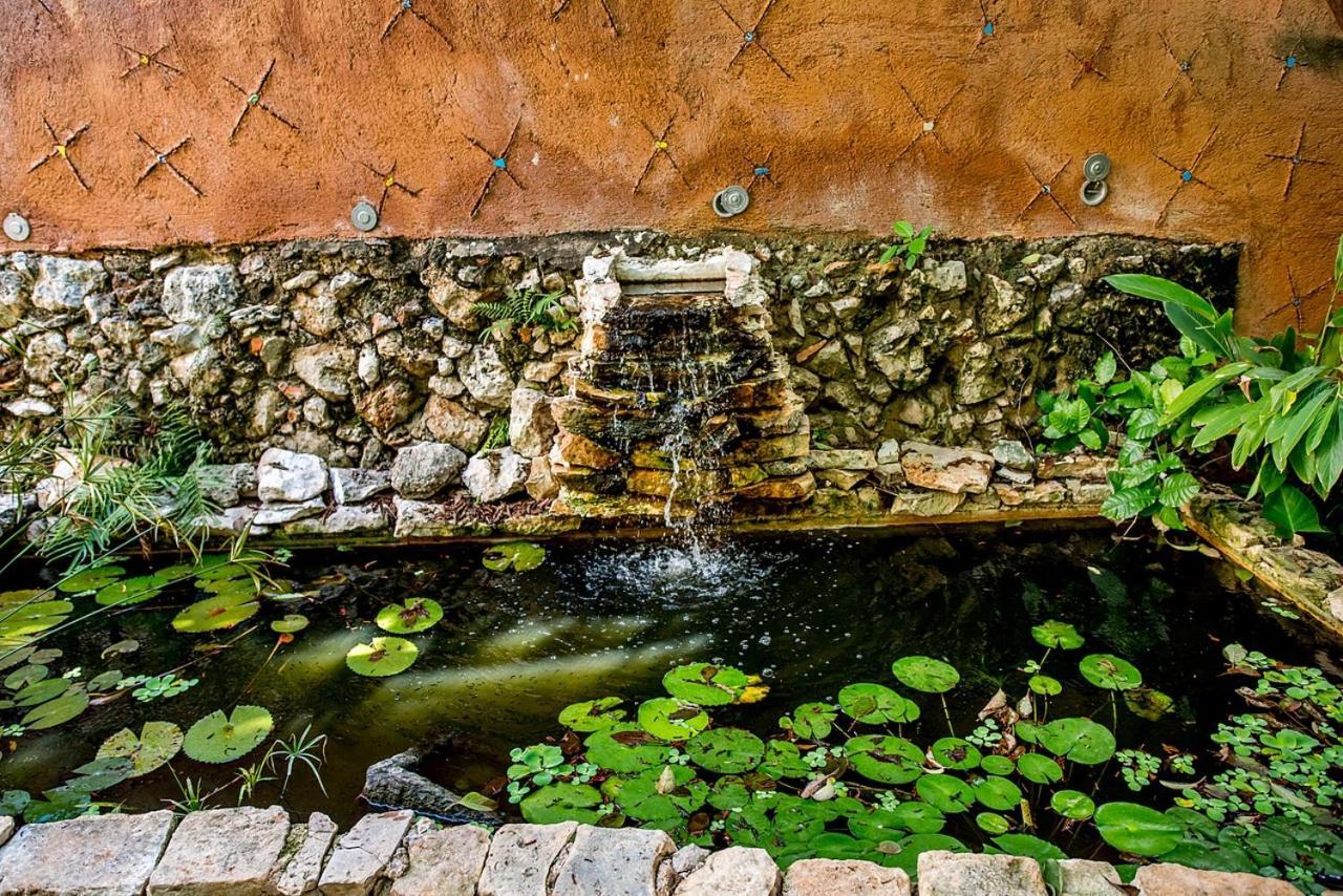 La Selva By Majikal B&B Merida Exterior photo